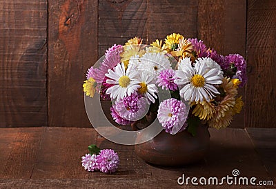 Chrysanthemums Stock Photo