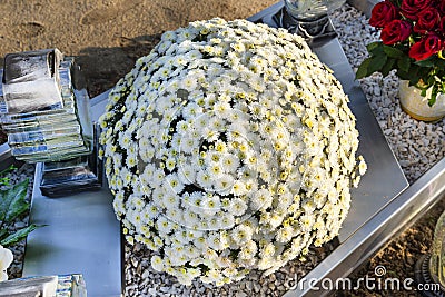 Chrysanthemums on a tombstone in the shape of a circle, in a Christian cemetery. Stock Photo