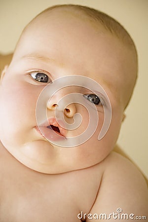 Chubby baby Stock Photo