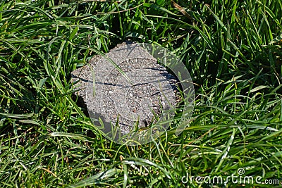 Chunk of Road asphalt laying in the grass Stock Photo