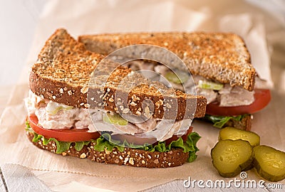 Chunky Tuna Salad Sandwich Stock Photo