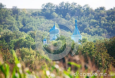 Church Domes between Treetops Stock Photo