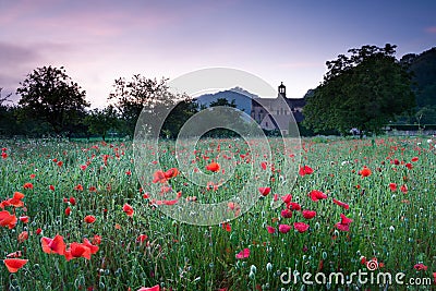 Church and a field of poppies Stock Photo