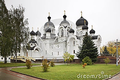 Church of the Myrrh-bearers in Baranovichi. Belarus Stock Photo