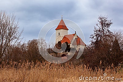 The reeds and the church Stock Photo