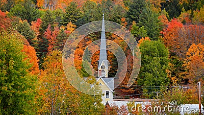 Church steeple between autumn trees Stock Photo