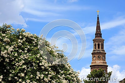 Church steeple and flowers Stock Photo