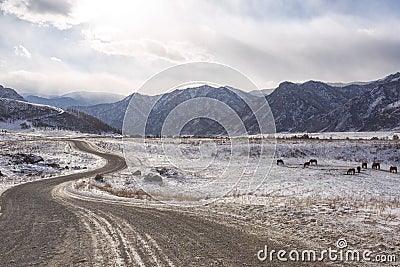 Chuysky tract in the mountains of Altai Stock Photo