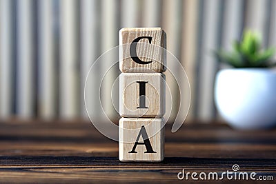 CIA- acronym on wooden cubes on the background of books and a cactus Stock Photo