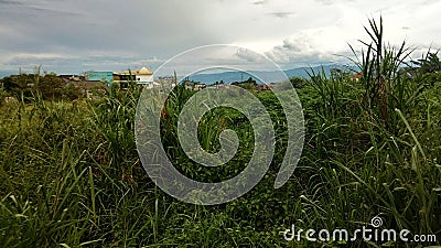 Cianjur ,Indonesia , February 2 , 2024 , the beauty of the meadow lights from Kh Abdullah bin Nuh street Stock Photo