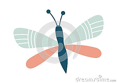 Cicada Colorful Little beetle flat icon Vector Illustration