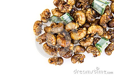 Cicada larva roasted Stock Photo