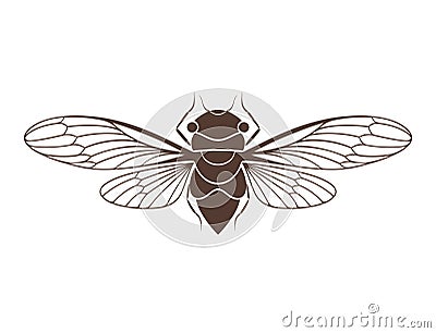 Cicada Vector Illustration