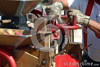 Cider Press in Action Stock Photo