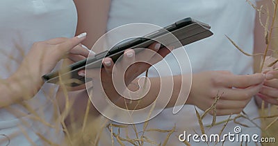 CientÃficos que trabajan en el campo de la tecnologÃa agrÃcola. Cierre del comprimido que toca la mano de una mujer en tallos d almacen de video CientÃficos que trabajan en el campo de la tecnologÃa agrÃcola. Cierre del comprimido que toca la mano de una mujer en tallos d almacen de video