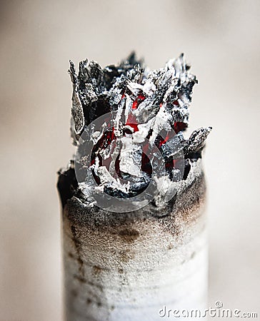 cigarette butts with burning embers Stock Photo