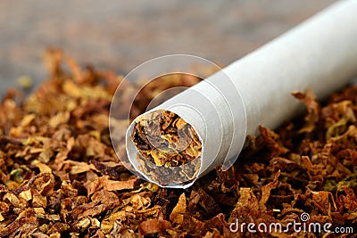 Cigarette / Tobacco Stock Photo