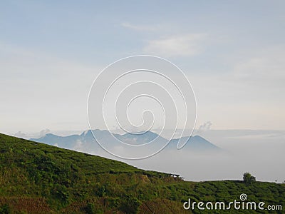 Cikuray Hills Tea Farm Stock Photo