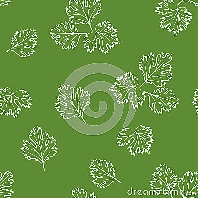 Cilantro outline seamless pattern on green background. Simple vector monochrome illustration Vector Illustration