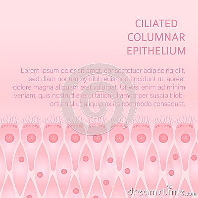 Ciliated epithelium medical background Vector Illustration