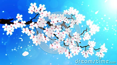 Ciliegio in piena fioritura Filiale della ciliegia Sakura fiorisce rosa Fondo blu del fiore di ciliegia illustrazione vettoriale Ciliegio in piena fioritura Filiale della ciliegia Sakura fiorisce rosa Fondo blu del fiore di ciliegia illustrazione vettoriale