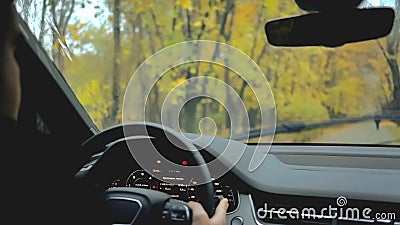 Cinemagraph Öglasvideo live Sikten av parkerar från vindrutan inom ett bilstundregn Droppar av vattennedgången på exponeringsglas lager videofilmer Cinemagraph Öglasvideo live Sikten av parkerar från vindrutan inom ett bilstundregn Droppar av vattennedgången på exponeringsglas lager videofilmer