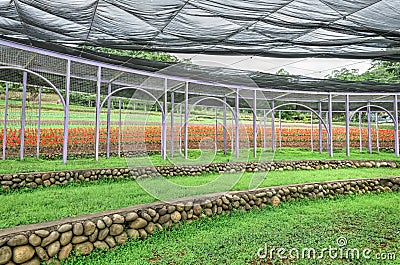 Cingjing Farm, Nantou County, Taiwan Stock Photo