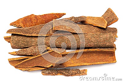 Cinnamomum camphora or Cinnamon bark Stock Photo