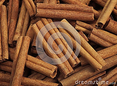 Cinnamon Bark, cinnamomum zeylanicum Stock Photo