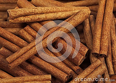 Cinnamon Bark, cinnamomum zeylanicum Stock Photo