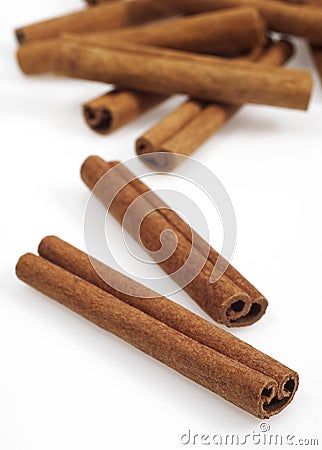 Cinnamon Bark, cinnamomum zeylanicum Stock Photo