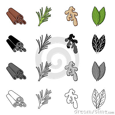 Cinnamon bark, spicy rosemary, ginger root, bay leaf. Spices set collection icons in cartoon black monochrome outline Vector Illustration