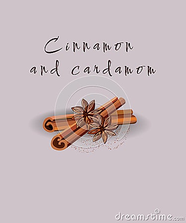 Cinnamon and cardamom. Vector illustration of food. Vector Illustration