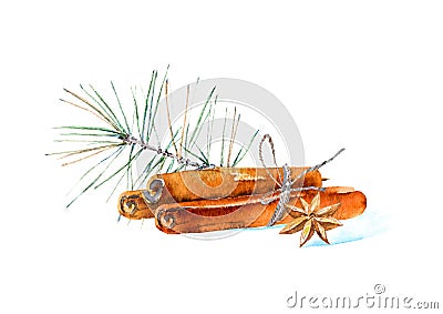 Cinnamon, star anise and pine branch. Ingredients for mulled wine. Cartoon Illustration