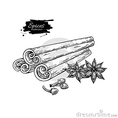 Cinnamon stick tied bunch, anise star and cloves. Vector drawing. Hand drawn sketch Vector Illustration