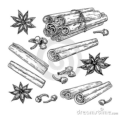 Cinnamon stick tied bunch, anise star and cloves. Vector drawing. Hand drawn sketch. Seasonal food Vector Illustration