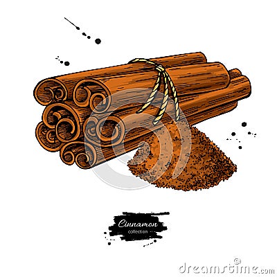 Cinnamon stick tied bunch and powder. Vector drawing. Hand drawn Vector Illustration