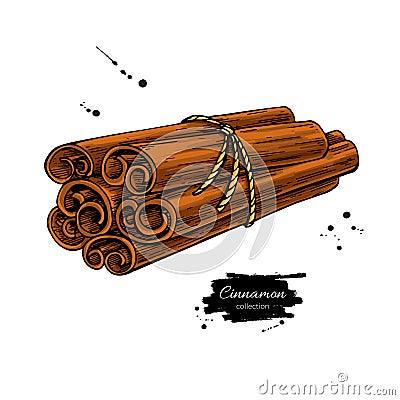 Cinnamon stick tied bunch Vector drawing. Hand drawn sketch. Vector Illustration