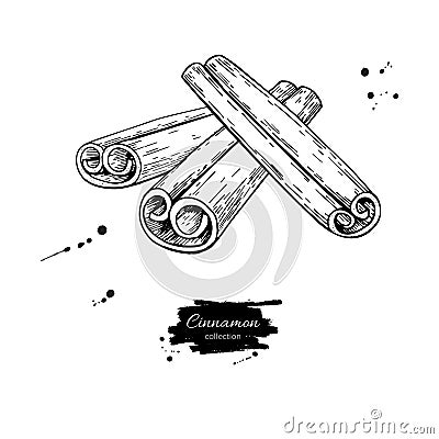 Cinnamon stick vector drawing. Hand drawn sketch. Seasonal food Vector Illustration