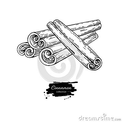 Cinnamon stick vector drawing. Hand drawn sketch. Seasonal food Vector Illustration