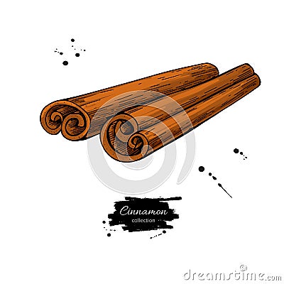 Cinnamon stick vector drawing. Hand drawn sketch. Vector Illustration