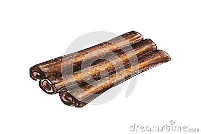 Cinnamon sticks drawing watercolor pencils, isolate on a white background Stock Photo