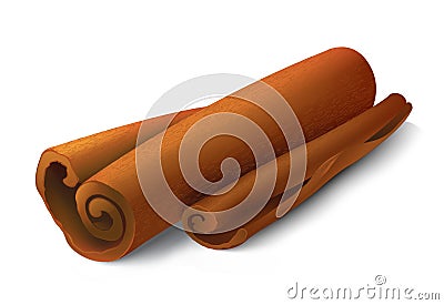 Cinnamon sticks Vector Illustration