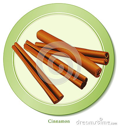 Cinnamon Sticks Spice Vector Illustration