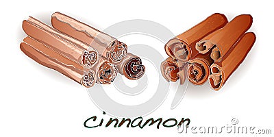 Cinnamon sticks on white background Vector Illustration