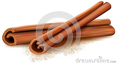 Cinnamon Vector Illustration