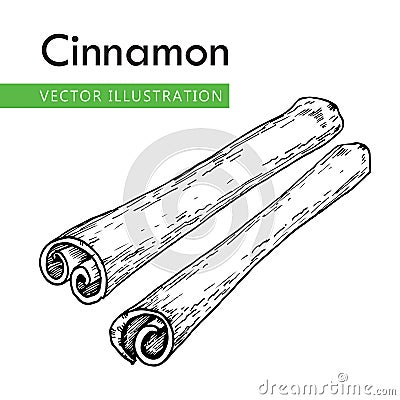 Cinnamon white Vector Illustration