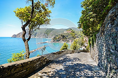 Cinque Terre: Hiking trail to Monterosso al Mare in early summer, Liguria Italy Stock Photo