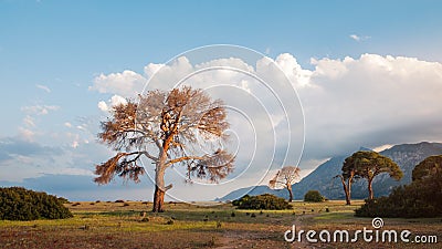 Cirali beach and coastline landscape at sunset, Travel to Turkey Stock Photo