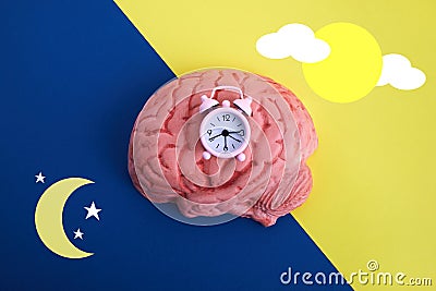 The circadian rhythms are controlled by circadian clocks or biological clock Stock Photo